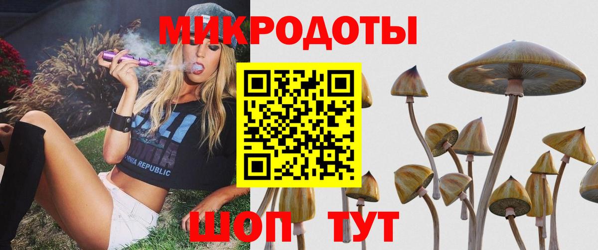 Строитель  Псилоцибиновые грибы мухоморы  Вход с VPN 