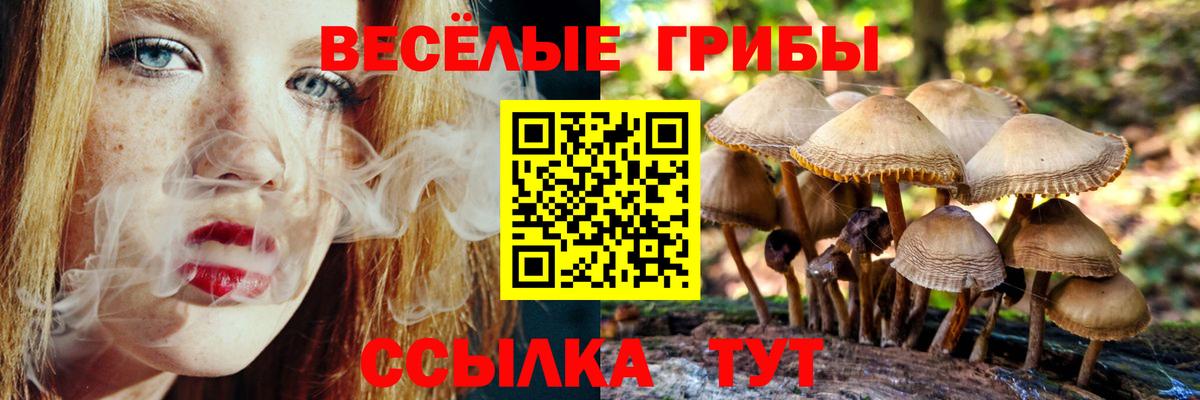 Галлюциногенные грибы прущие грибы Строитель